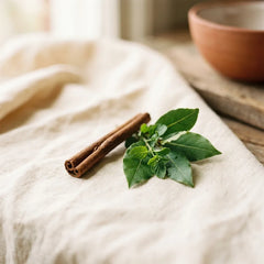 Feuilles et écorce de cannelier de Ceylan