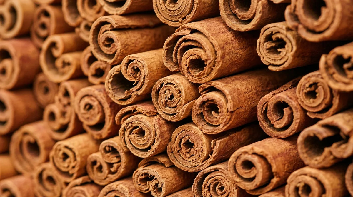 Texture de bâtons de cannelle de Ceylan empilés